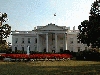 View From the Lawn